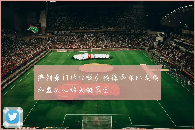 热刺豪门地位吸引我德泽尔比是我加盟决心的关键因素