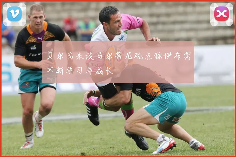 贝尔戈米谈马尔蒂尼观点称伊布需不断学习与成长